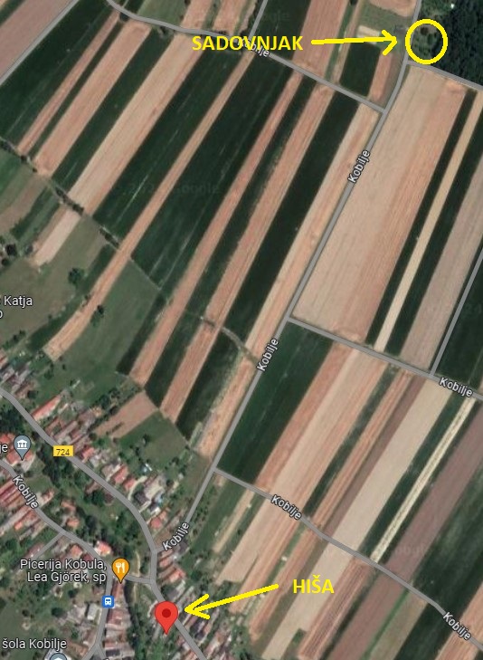 Lokacija hiše in pripadajočega sadovnjaka